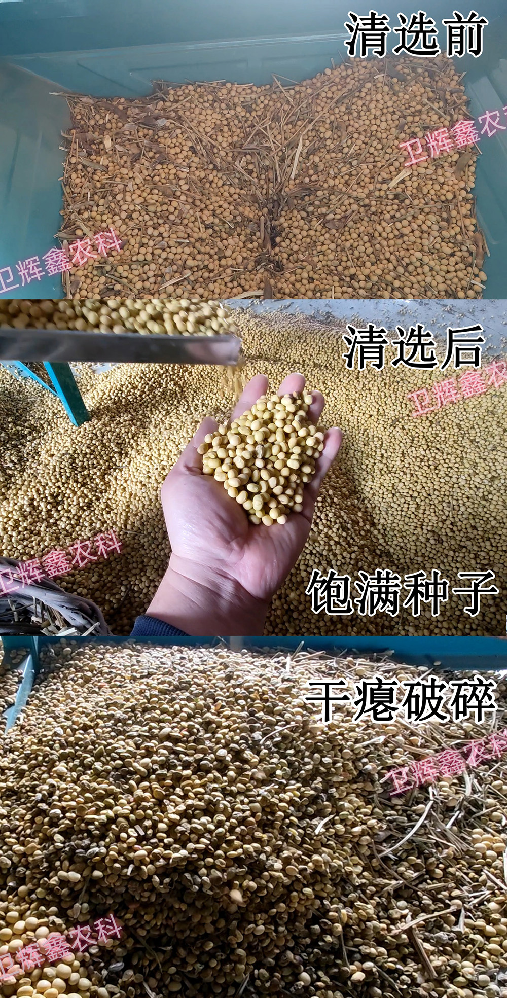300-1筛选对比2